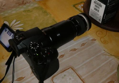 Tube sp.